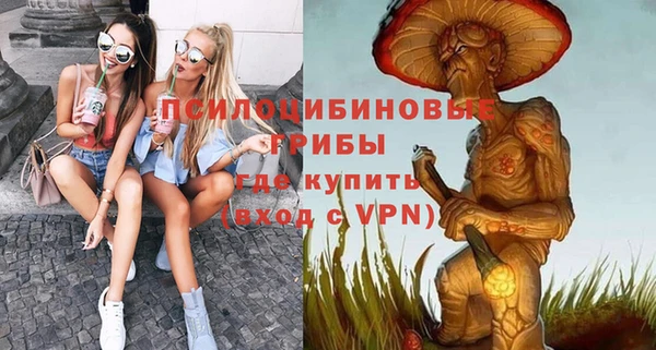 марки nbome Богородицк