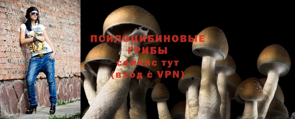 стафф Богородск